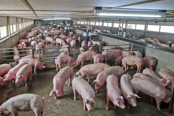  有機(jī)肥生產(chǎn)線技術(shù)方案，農(nóng)村有機(jī)肥廠的投資和利潤分析